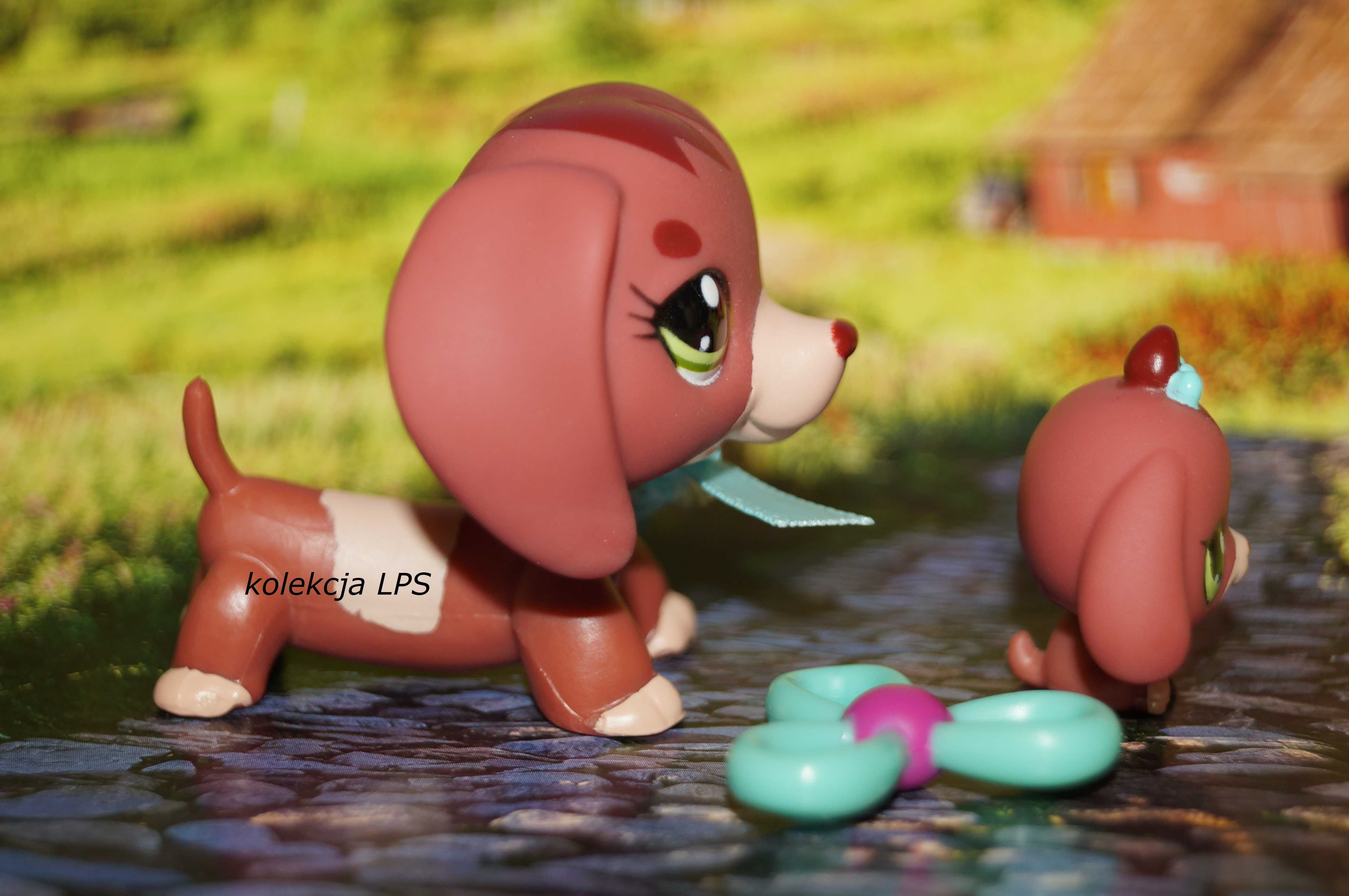 LPS Littlest Pet Shop jamnik #3601 #3602 oryginalny pop oryginał Iris