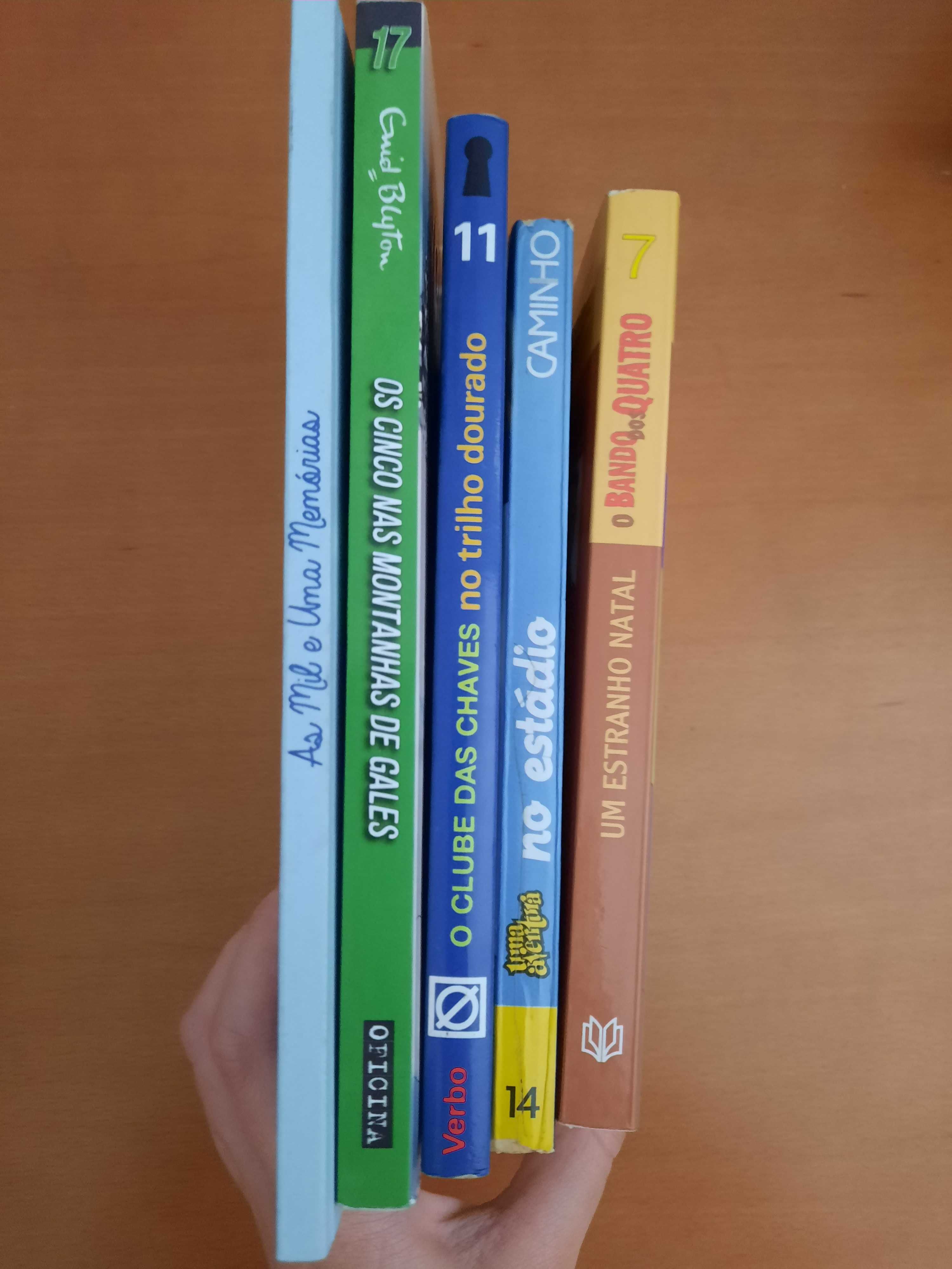 Mix de livros em português