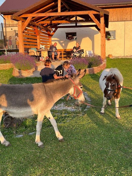 Agroturystyka KOTLINA Kłodzka , Góry Stołowe, wolne pokoje!