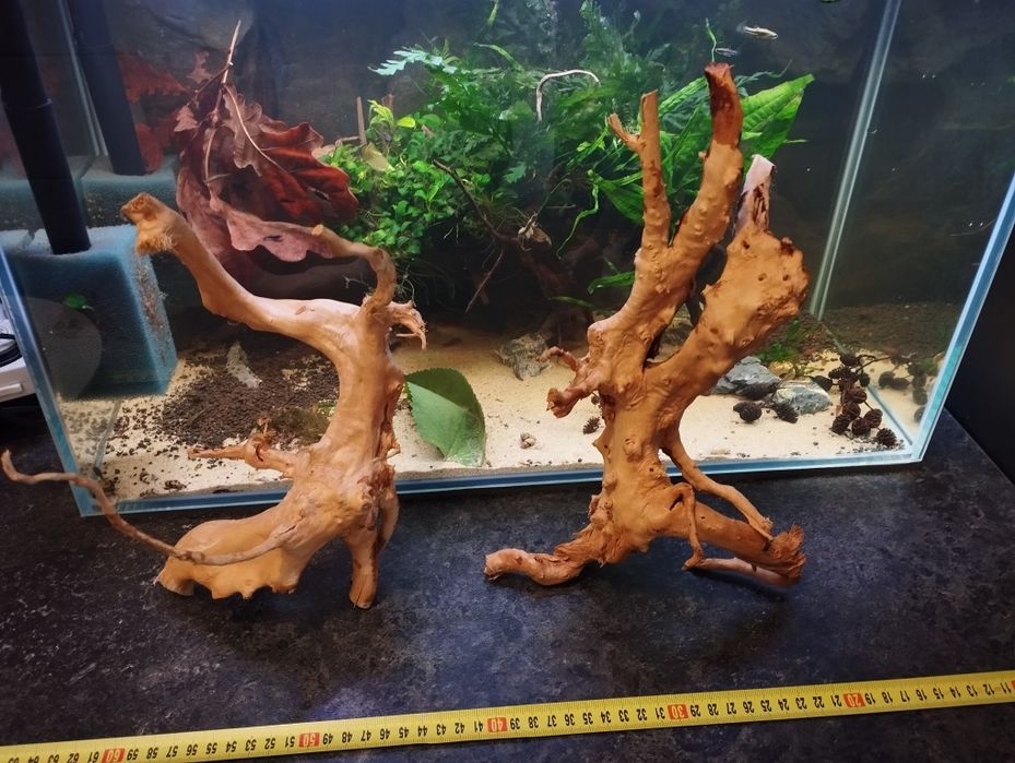 Korzenie do akwarium, terrarium