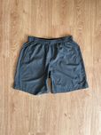 Спортивні сірі шорти Nike Dri Fit