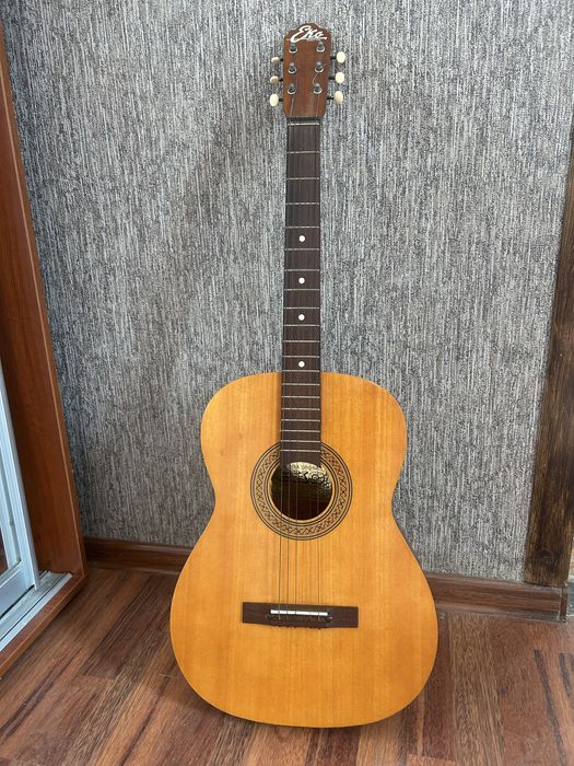 Акустическая гитара Eko Италия