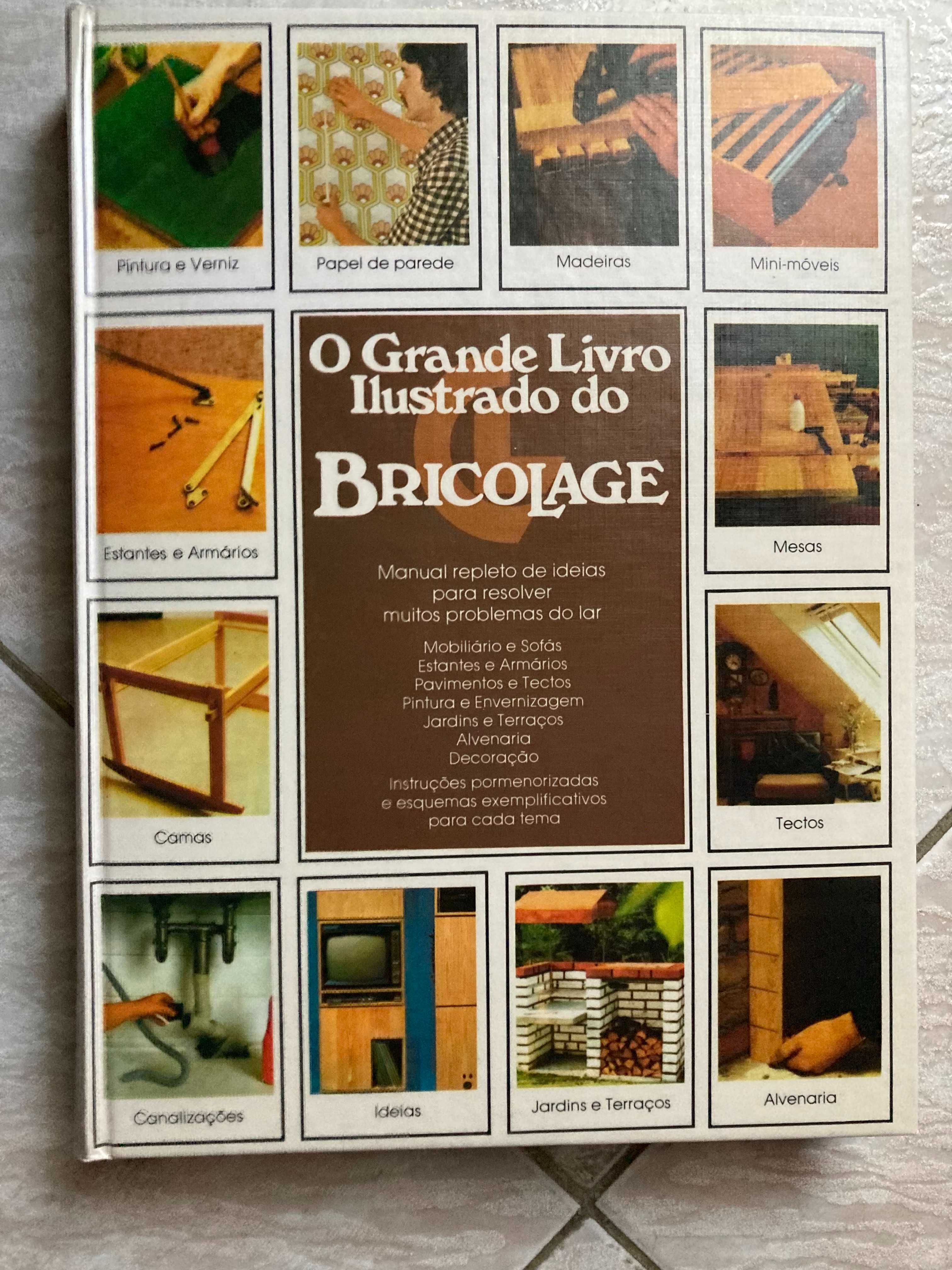 O Grande Livro Ilustrado do Bricolage
