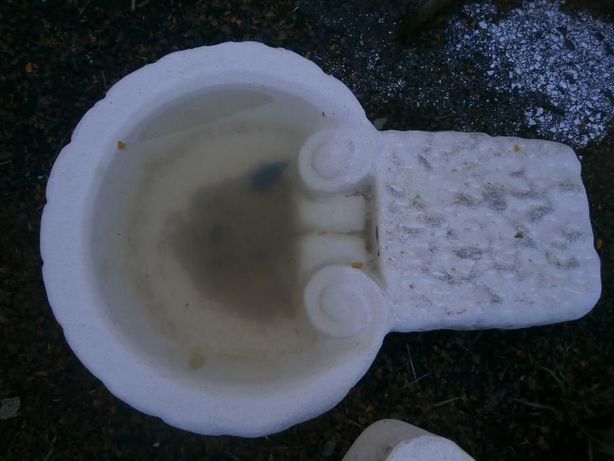 pias de água benta em calcário feitio de concha