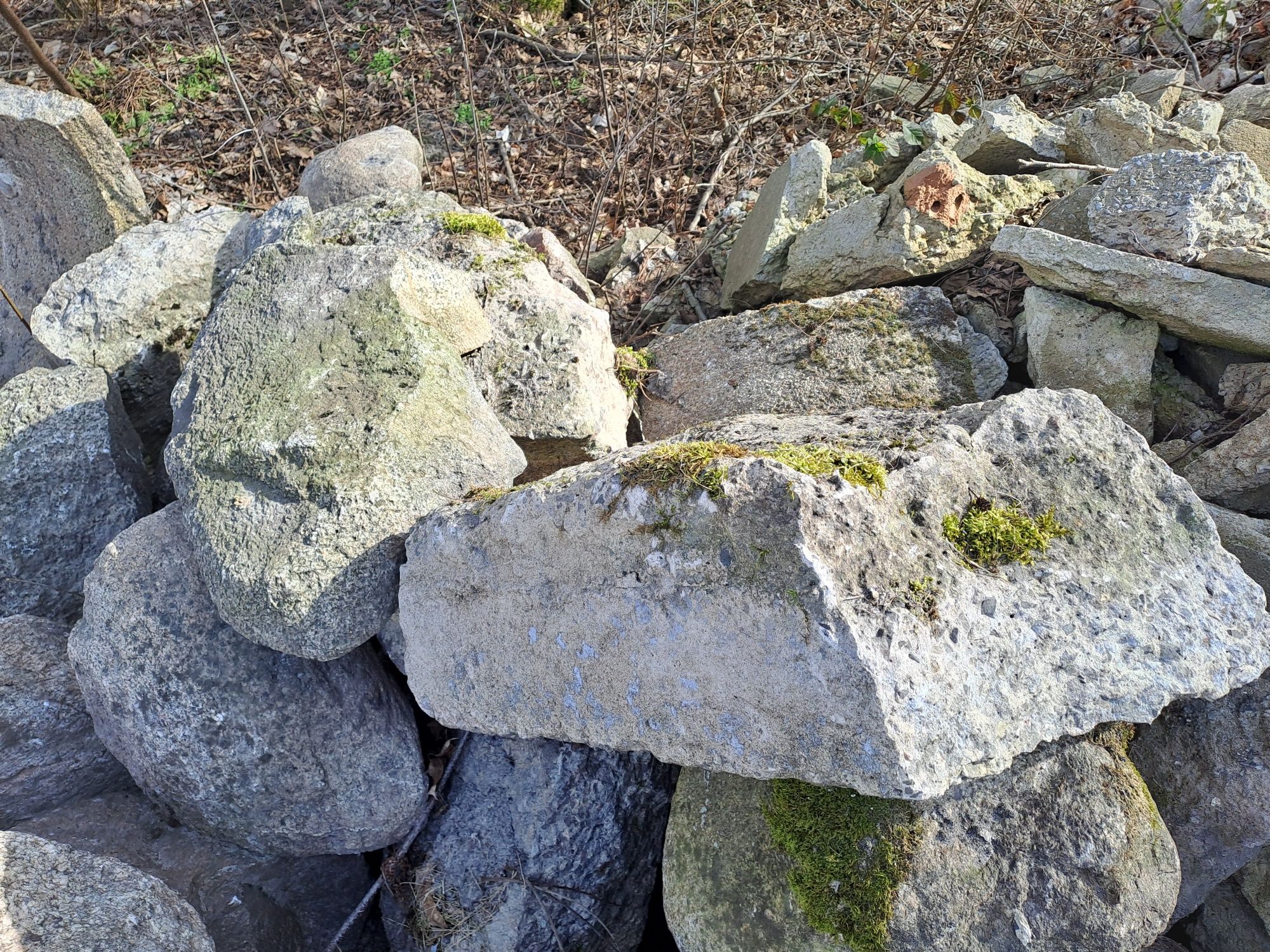 Kamienie polne na skalniak