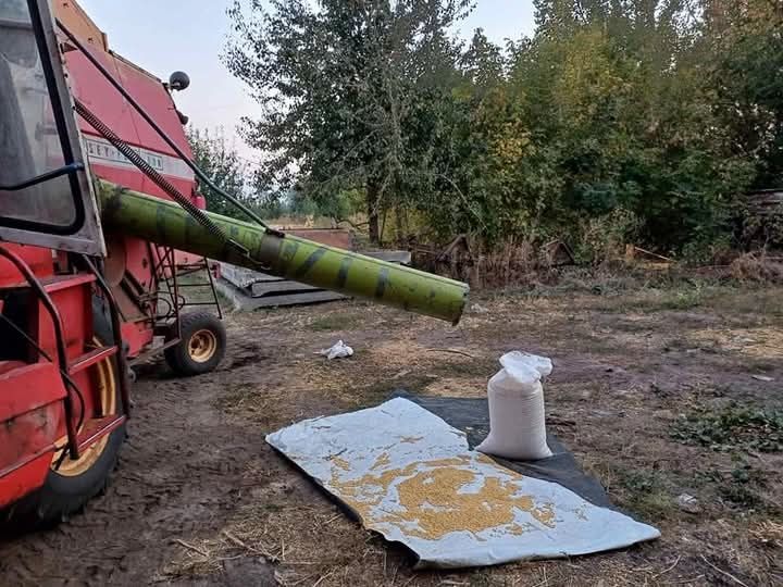 Продам комбайн масей фергюсон 187