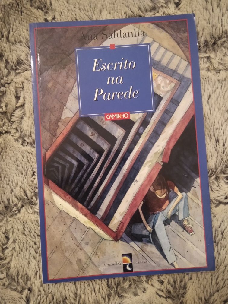 Livro Escrito na Parede de Ana Saldanha