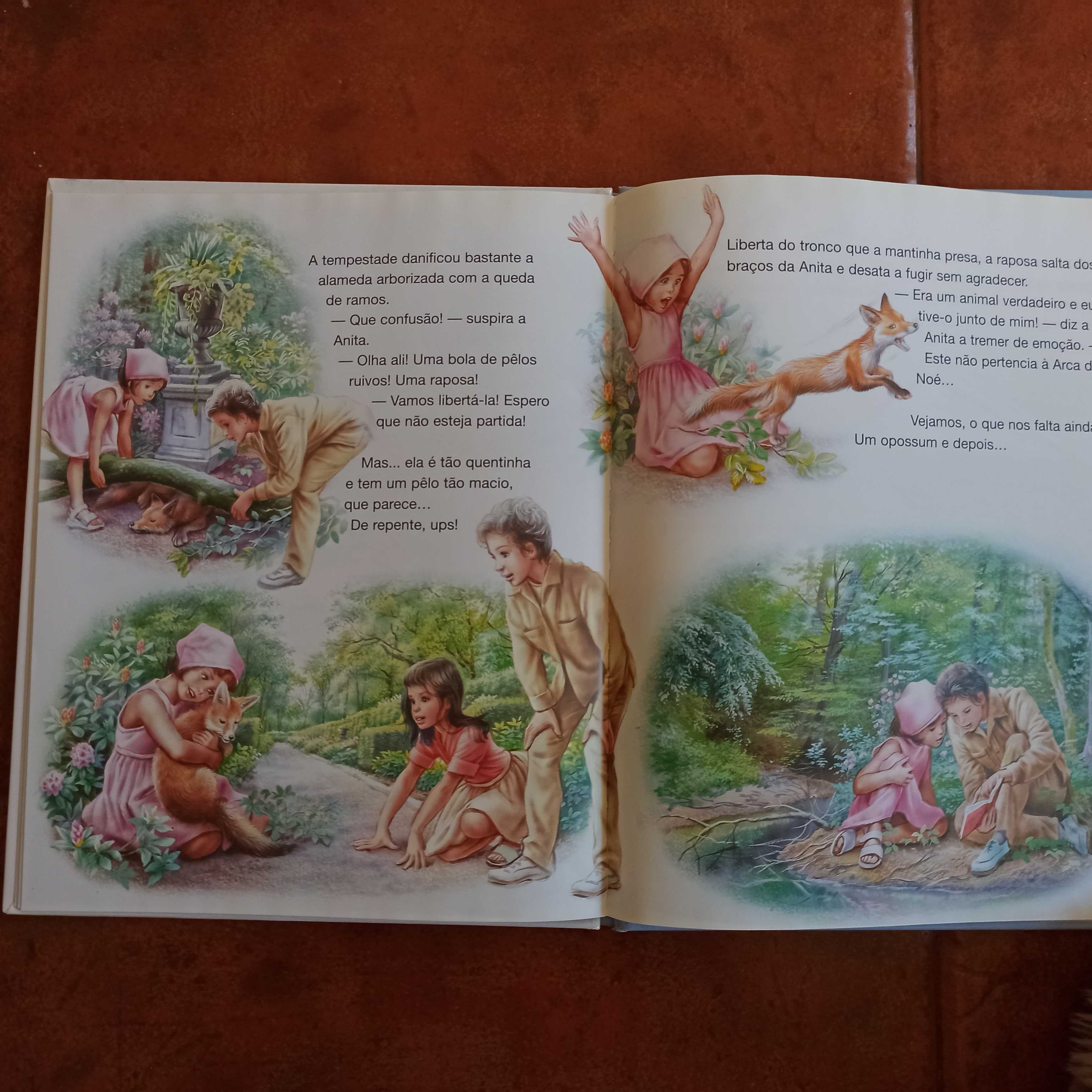 Livro da Anita - Anita e a arca de Noé - Martine - Livro novo