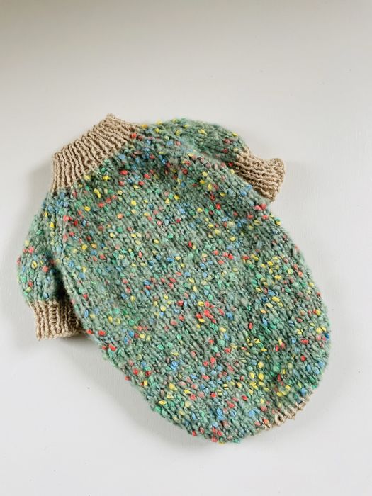 Одежда для собаки