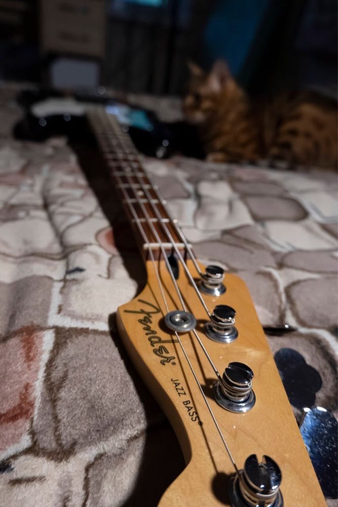 Fender jazz bass