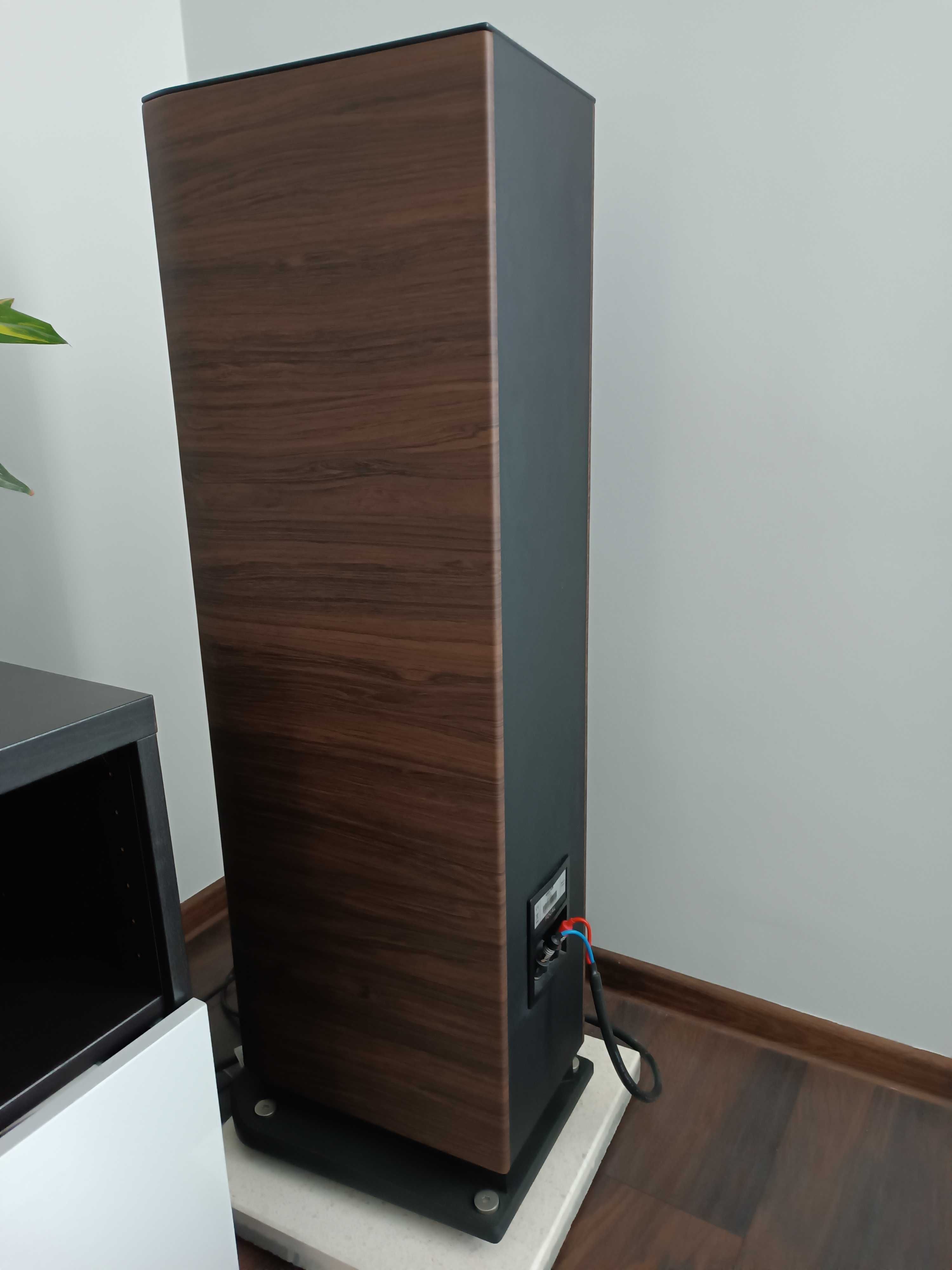 Focal Aria 926 - noyer