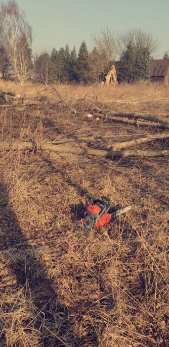 Trawniki   siew trawy zakładanie ogrodów  trawa z rolki koszenie
