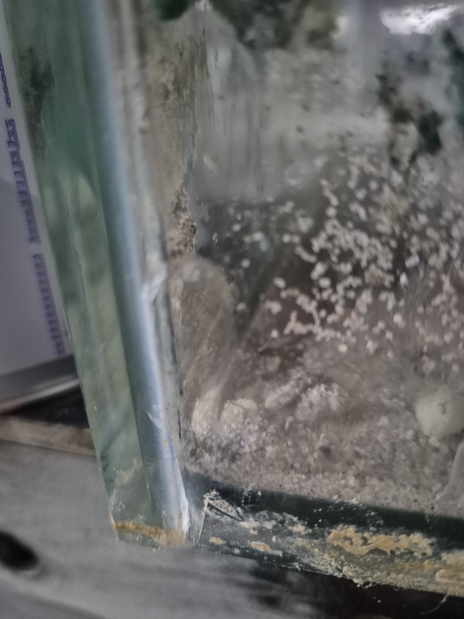 Akwarium na terrarium - uszkodzone