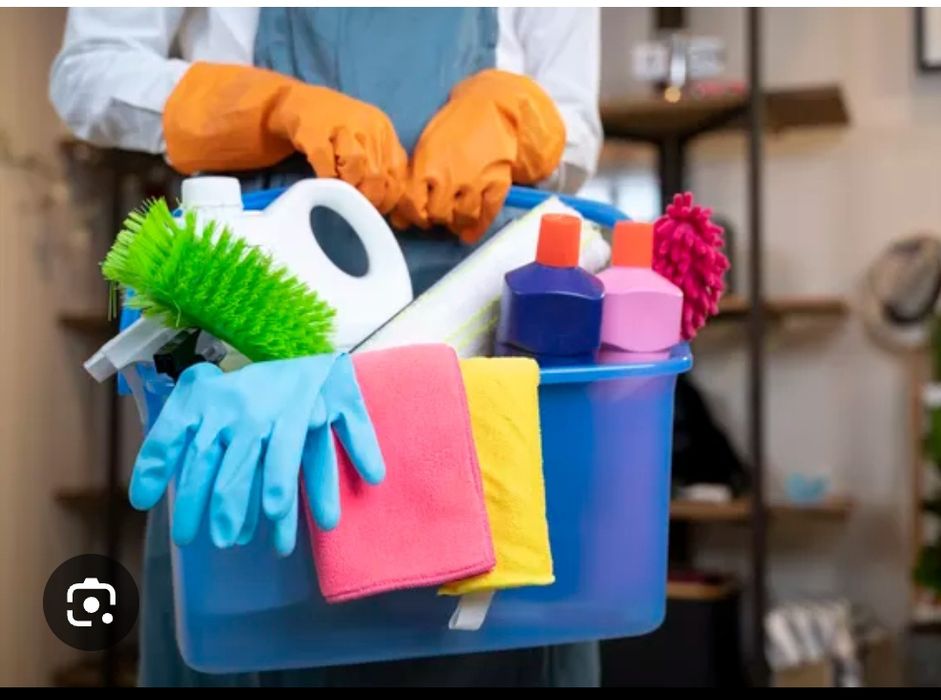 Limpezas e passar a ferro