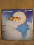 Disco de vinil - Tygers of Pan Tang