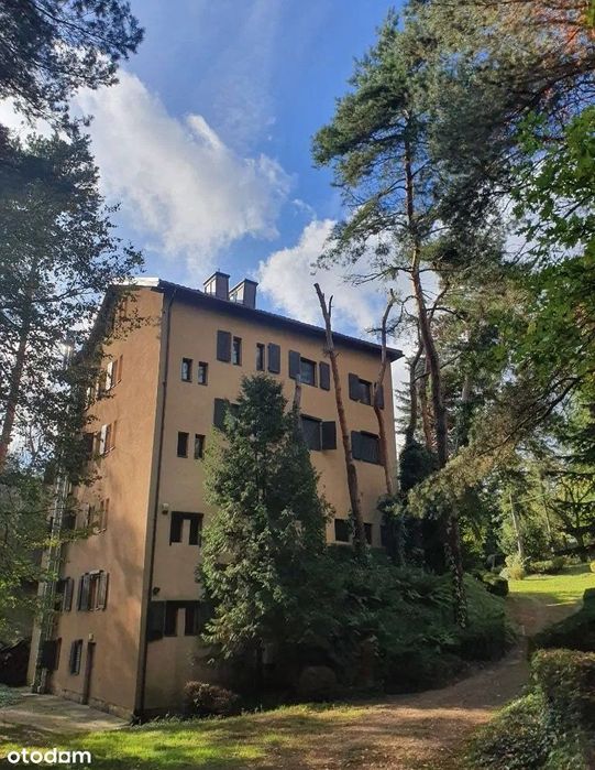 Dom z widokiem na Wisłę, 35 km od Warszawy. Do remontu.
