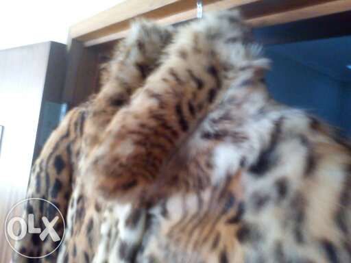 Casaco leopardo verdadeiro comprado em Paris como novo