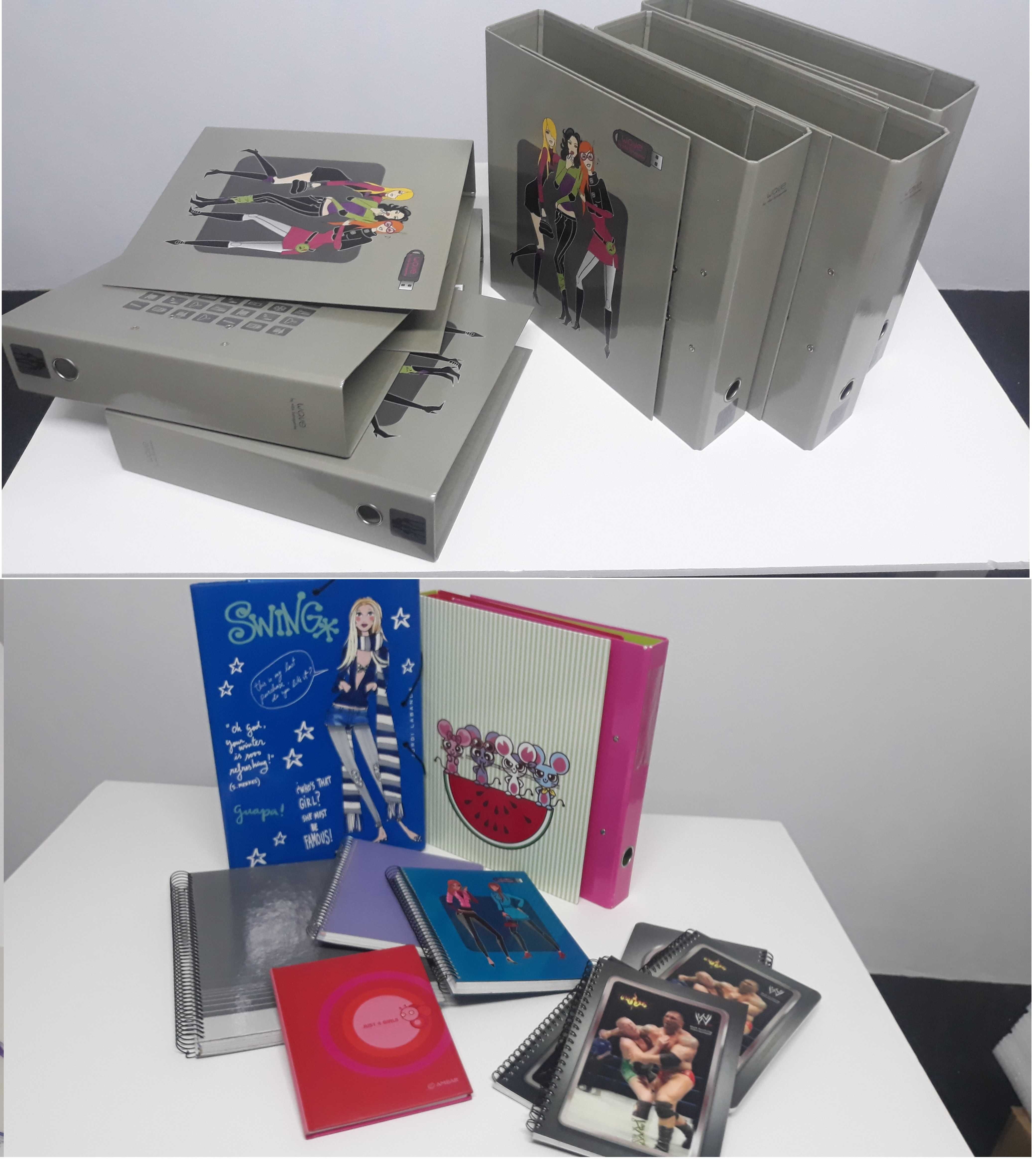Material Escolar e de Escritorio (NOVO) (vendo todo o conjunto)