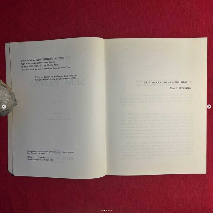 Sem penas Autor: Woody Allen (portes incluídos)