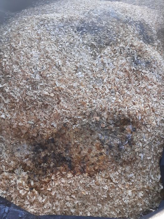 zrębki drzewne ścinki kora trociny trot użyźnianie gleby  pod borówki