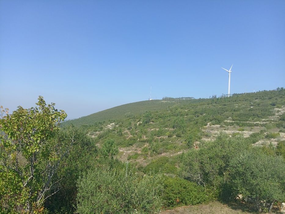 T0 em terreno construtivel 900m2