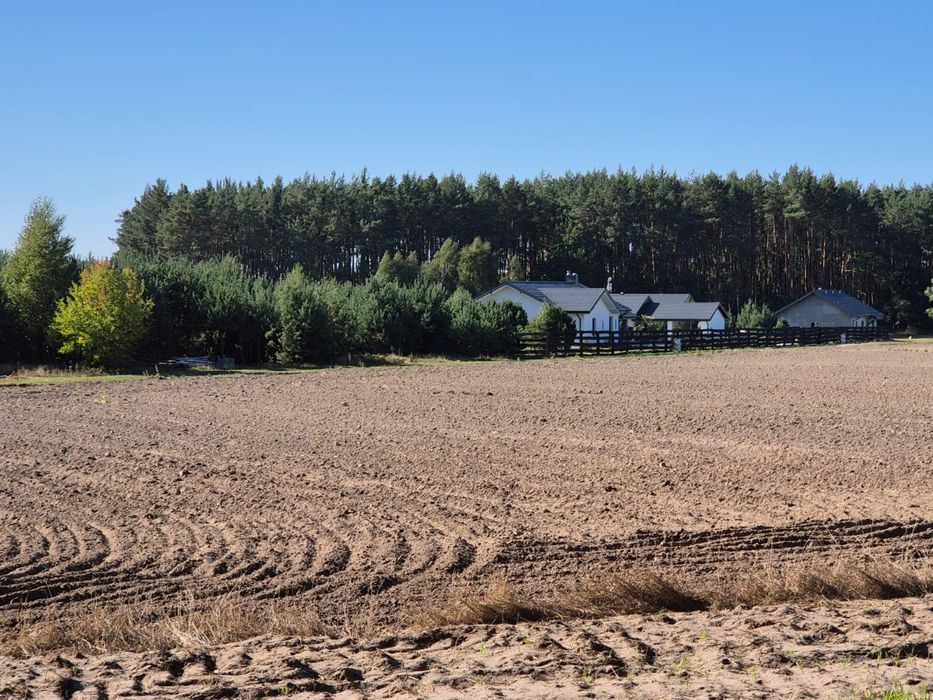 Działka budowlana 1500 m2, Mierzyn, praw. warunki zabudowy, prąd, woda