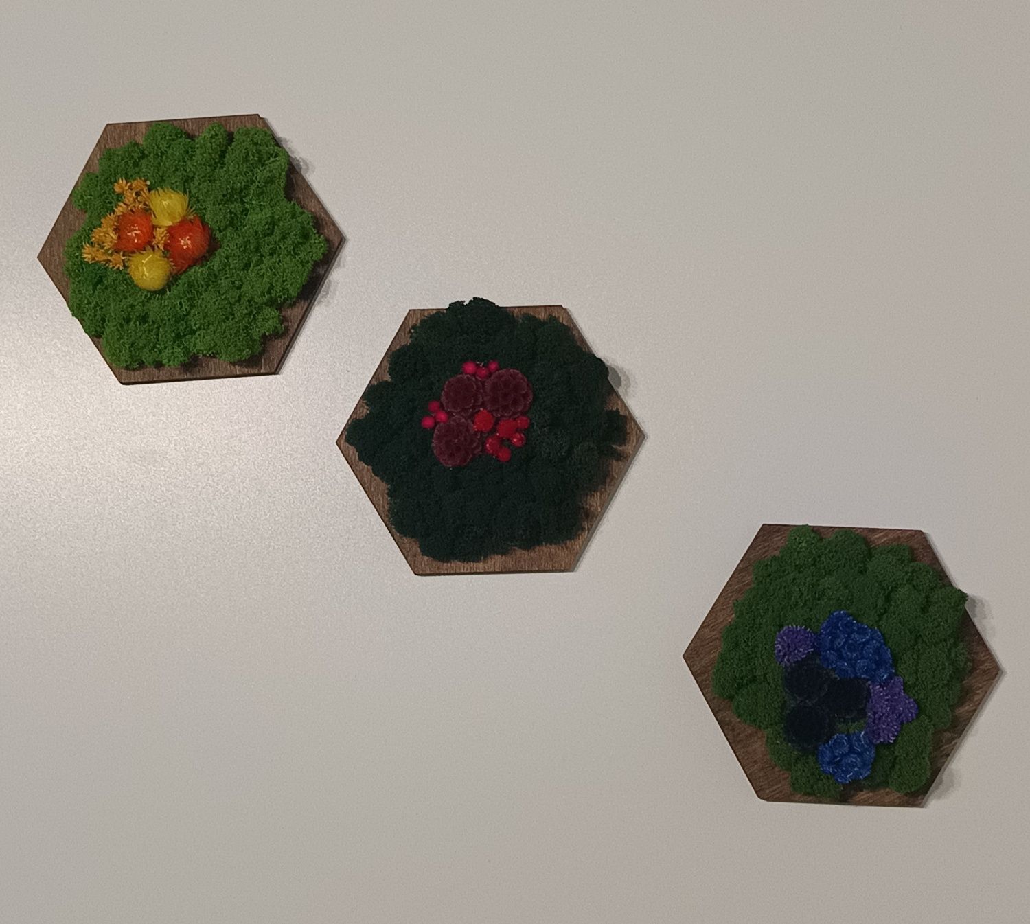 Panel hexagon mech CHROBOTEK i rośliny stabilizowane