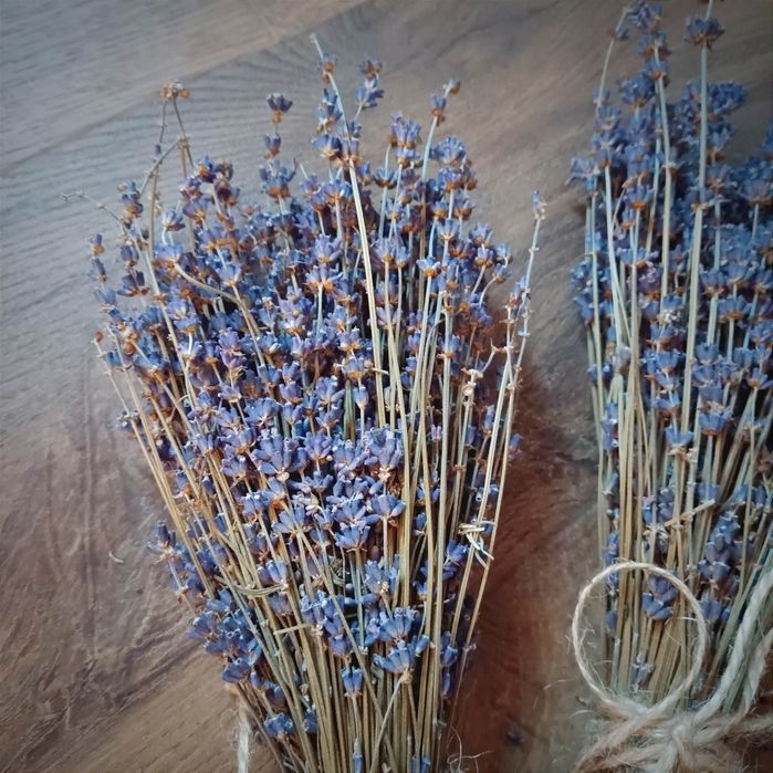 Dwa bukiety suszonej lawendy z Polski