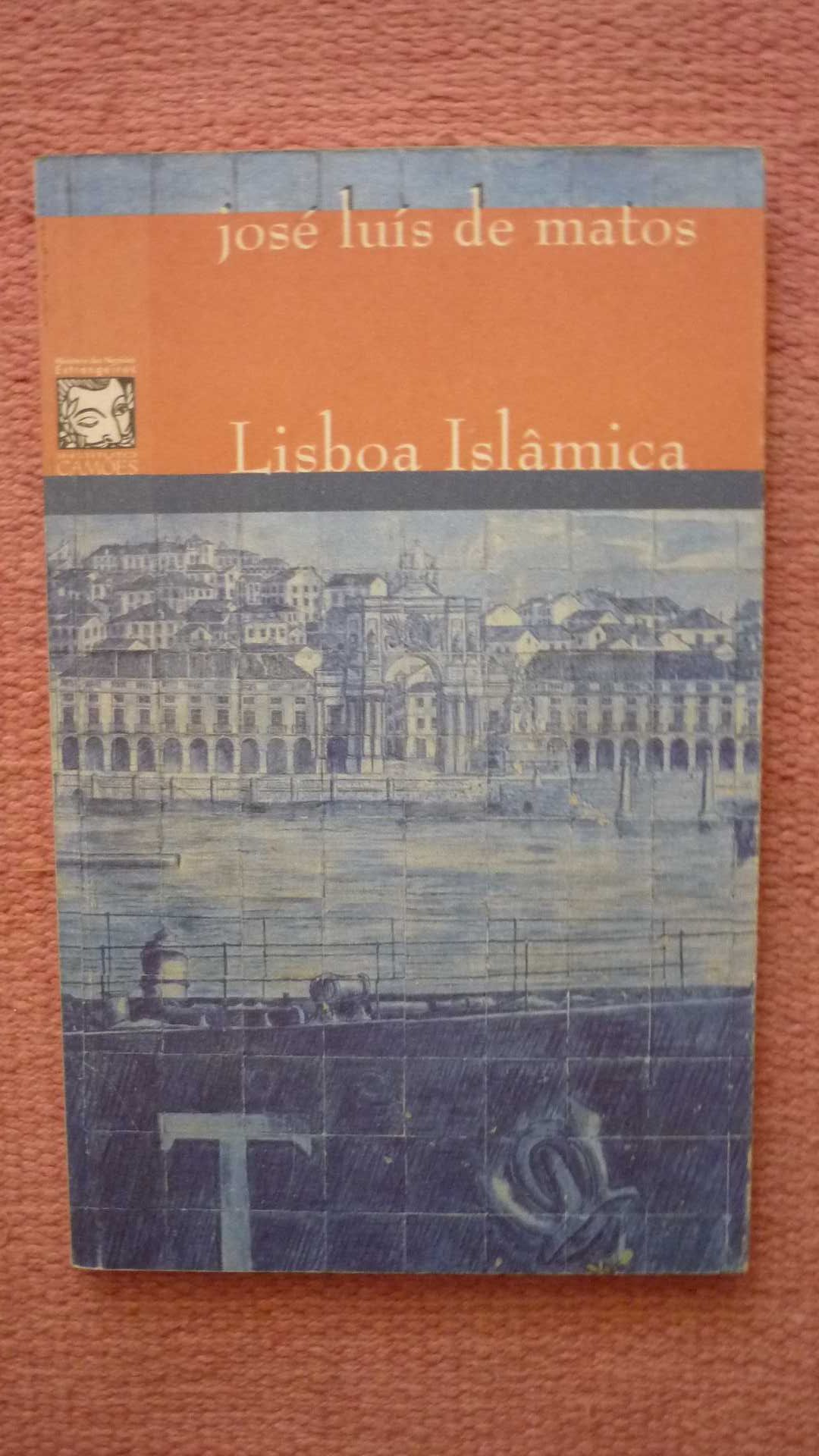 José Luís de Matos, Lisboa islâmica