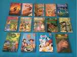 Livros Disney + Suporte