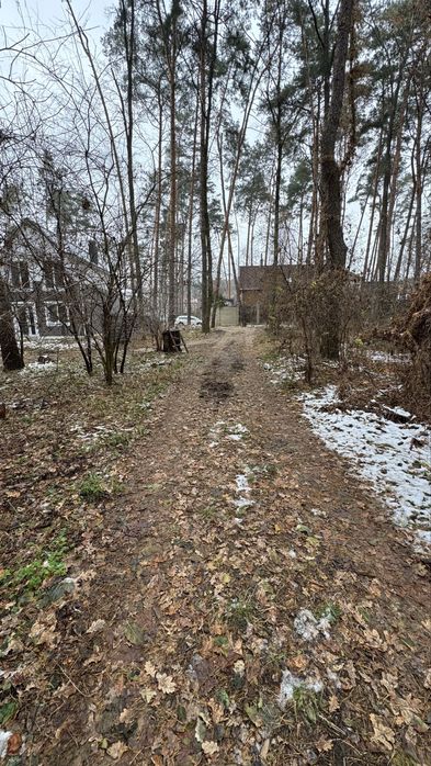 Земля. Участок 10 соток, все центральные коммуникации и газ.