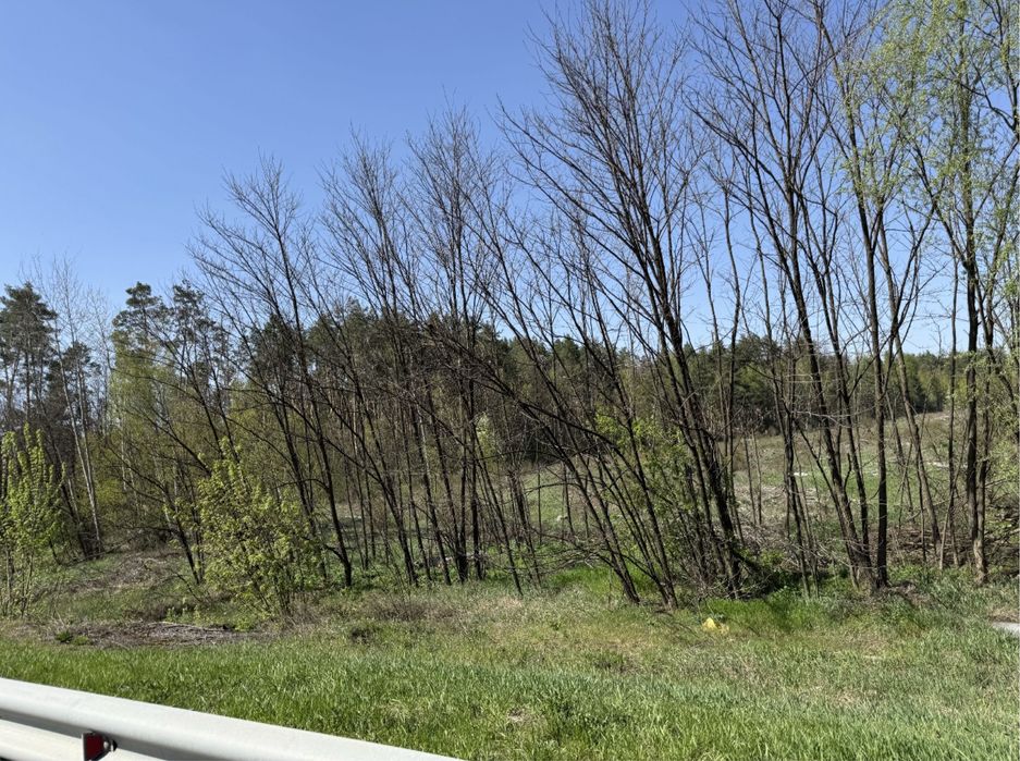 Продам фасадну земельну ділянку 3,3 Га!