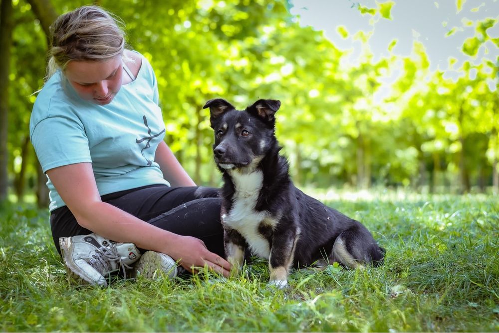 Kajtek - niewielki uśmiechnięty piesek do adopcji