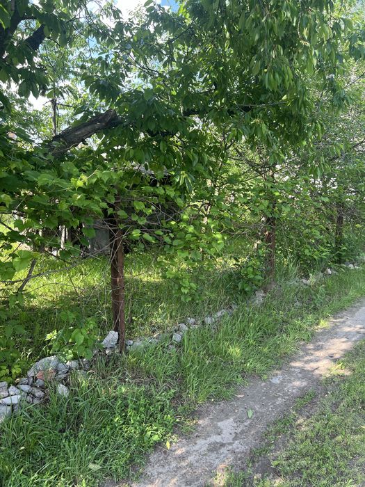Продам дачний участок в Гайку