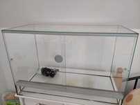 Terrarium dla Gada