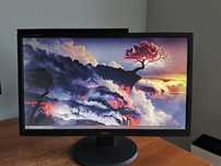 Monitor IIYAMA ProLite