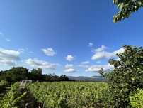 Quinta em Valença