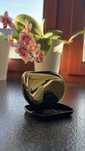 TANGLE TEEZER szczotka compact gold