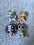 Lps pet shop pop unikat