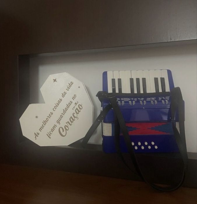 Novo - Acordeao de teclas em azul para criancas