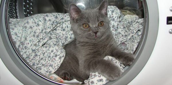 ОАЗИС пральня. Прання речей, обуві, спальних мішків. Прачечная. Стирка