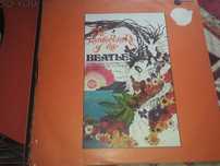 Vinil  Beatles a funcionar