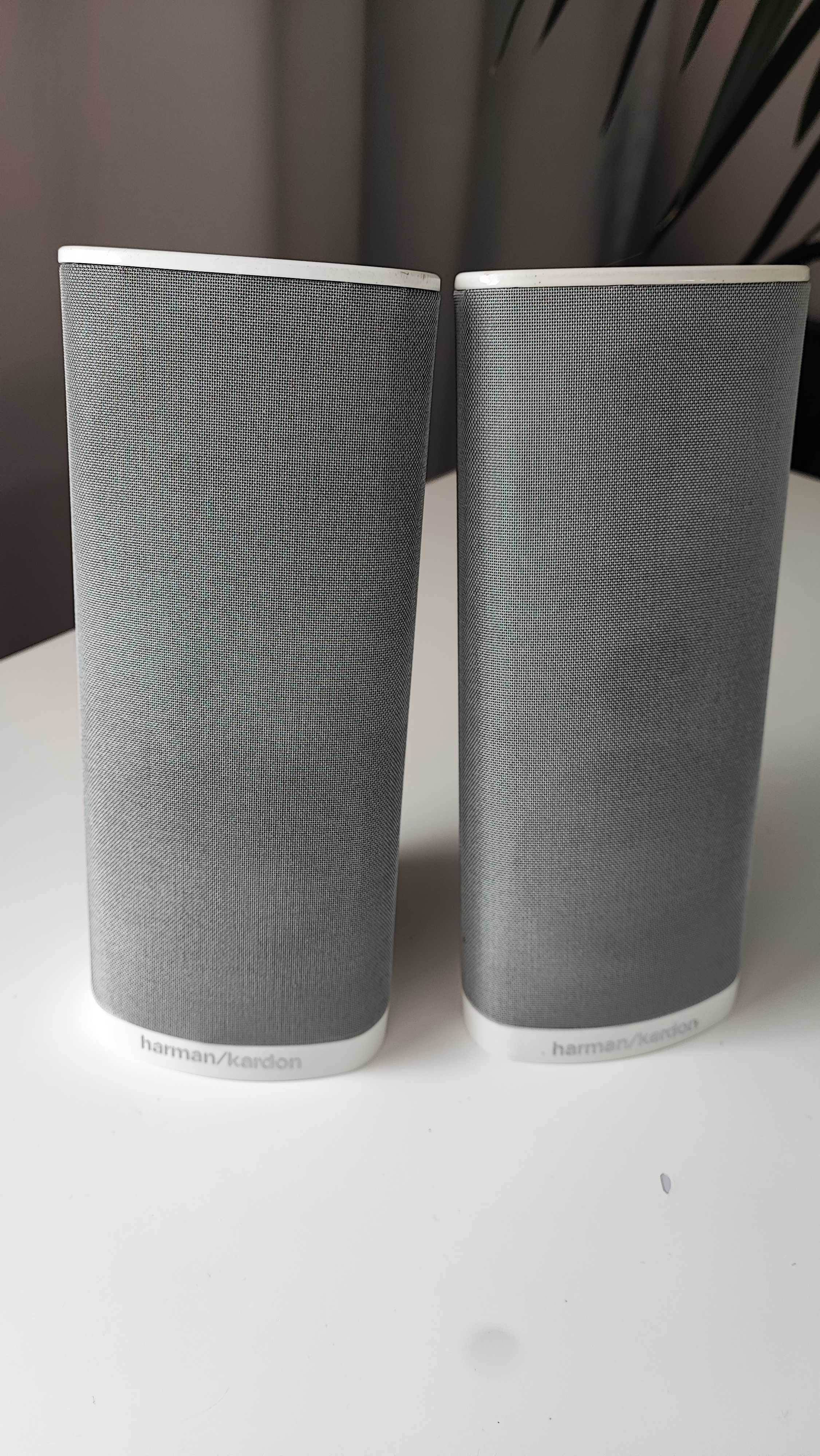 Głośniki satelitarne Harman Kardon TS11