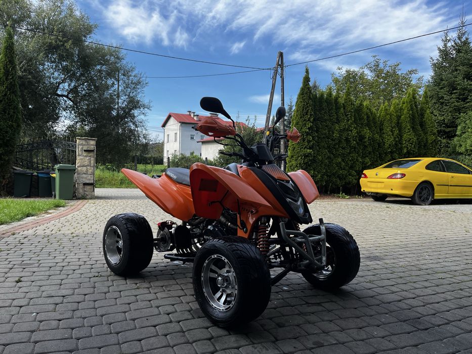Shineray 250 QUAD ATV