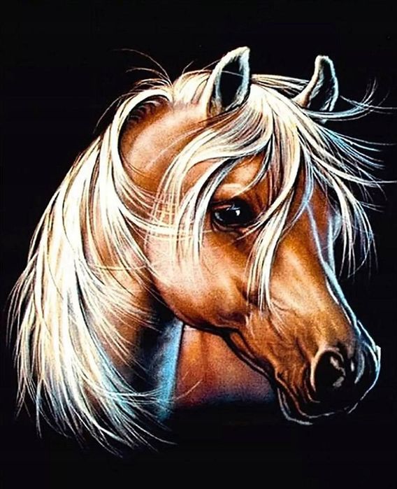 obraz malowanie po numerach koń 50cm + rama