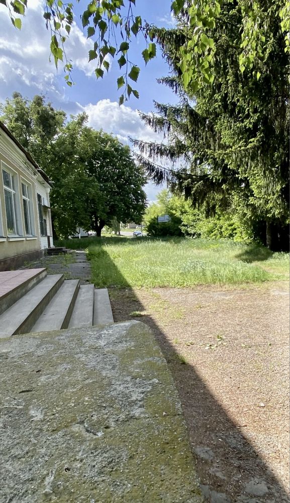 Комерція Інвестоб’єкт у центрі Ржищева: 460 м² + 26 соток,