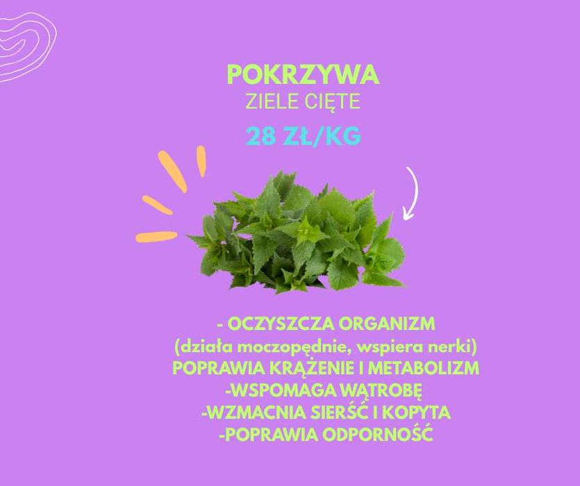 POKRZYWA - suszone ziele -1kg