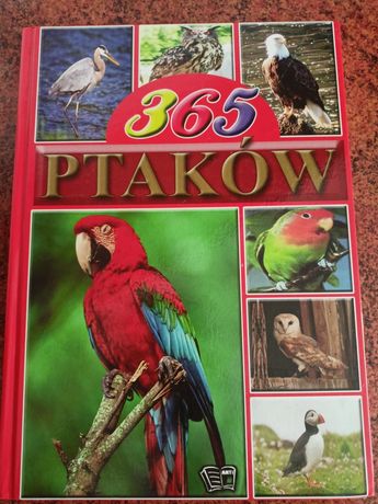 książka 365 ptaków