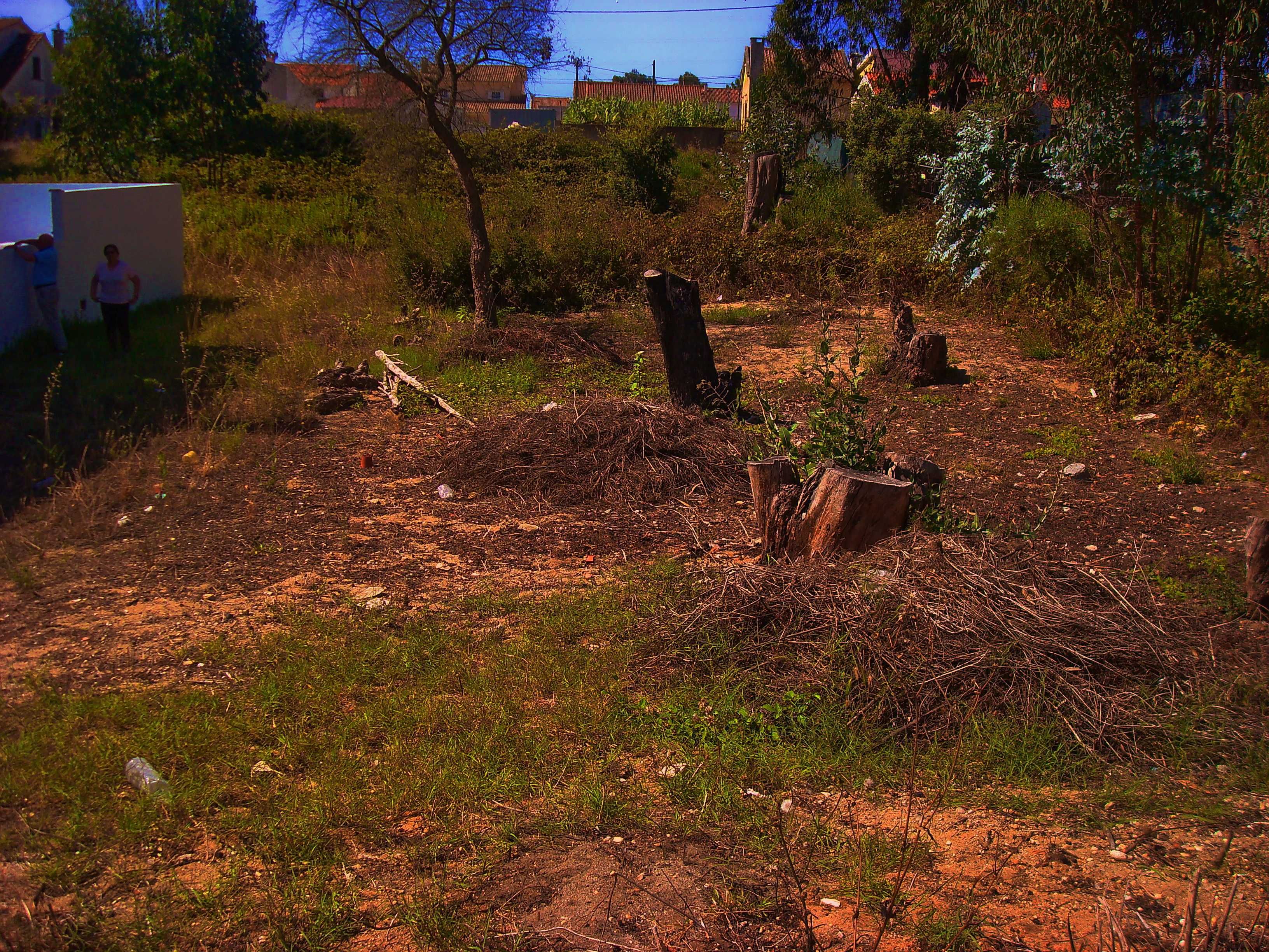 Oportunidade Única!
Terreno Exclusivo na Quinta da Aniza - Fase 3