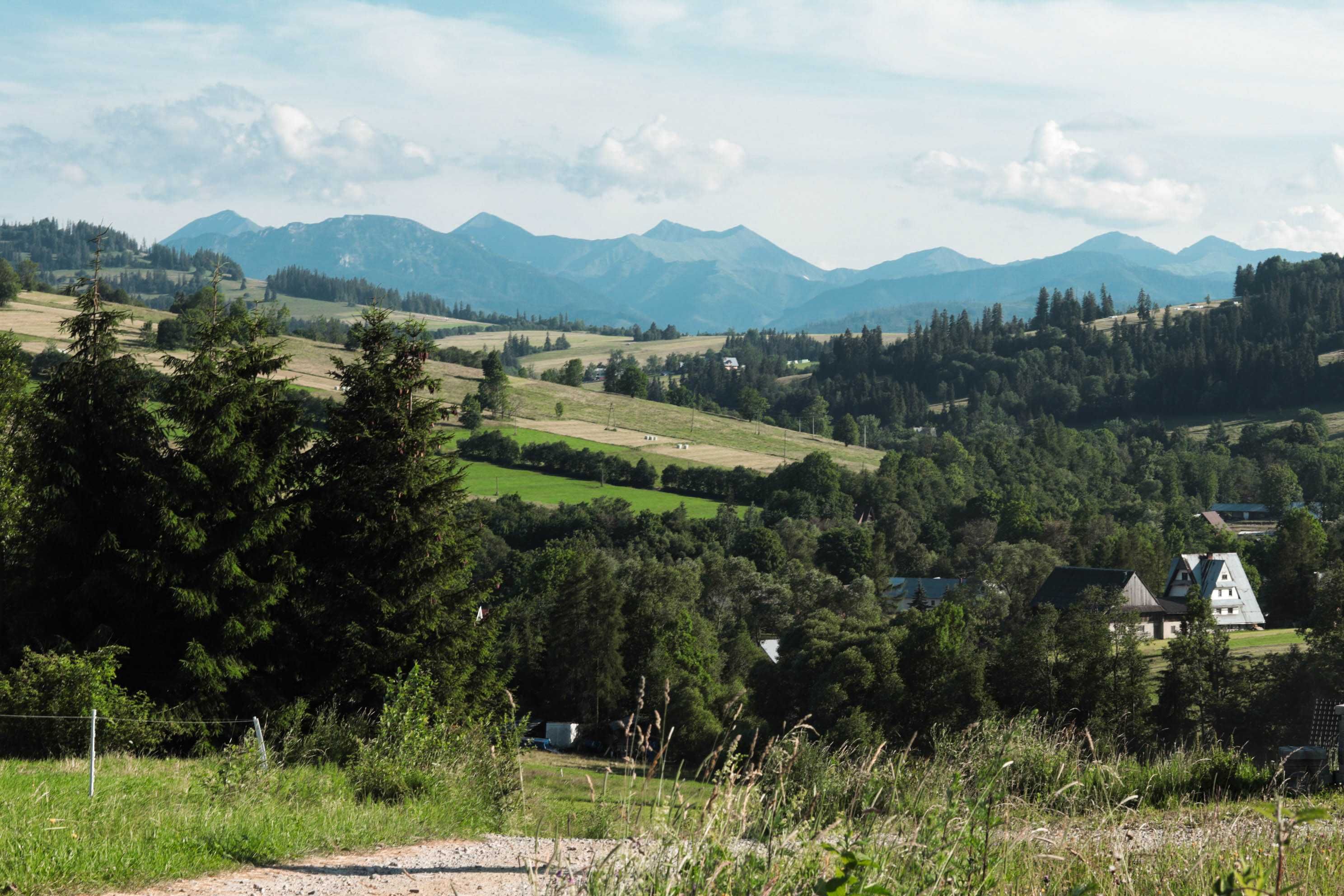Jagodowe Domki - Domki w górach na wyłączność  - Podhale - Tatry